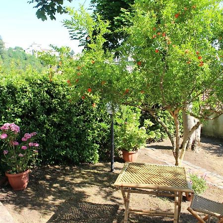 Bed and Breakfast Le Coste Veroli Екстер'єр фото